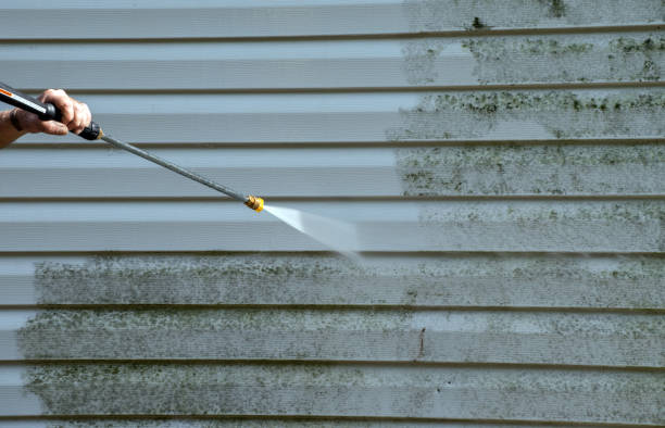 Best Roof Washing  in Belle Fourche, SD